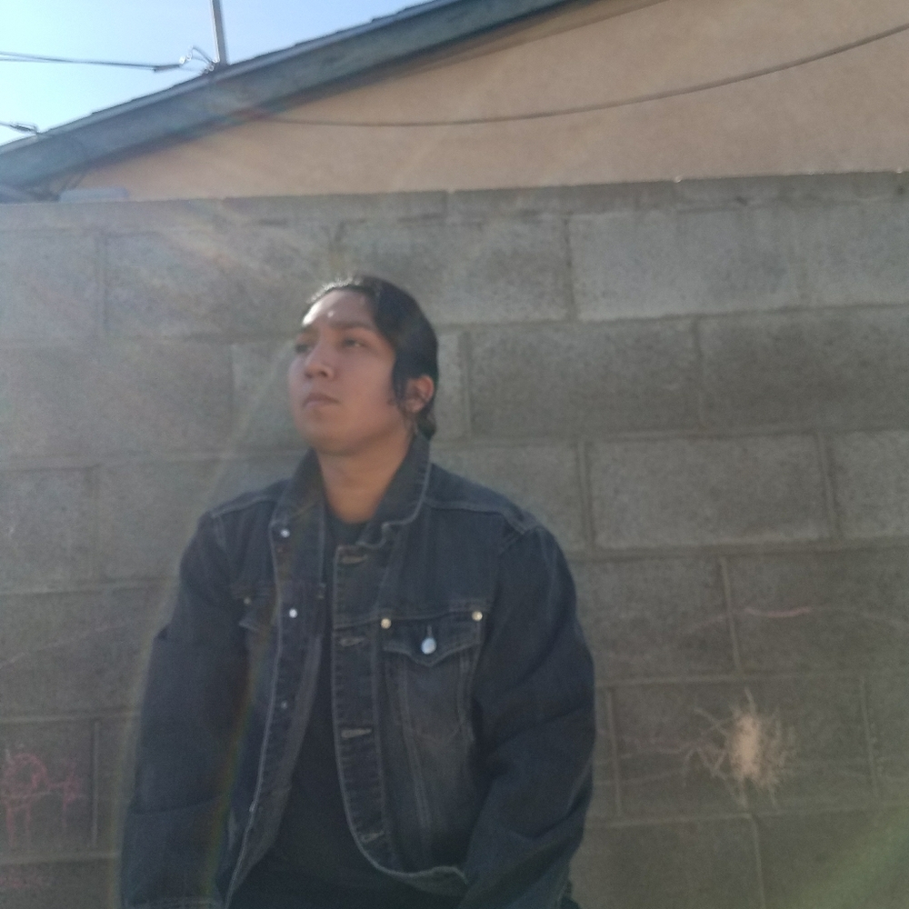 Denim jacket - Picture 5 of 10